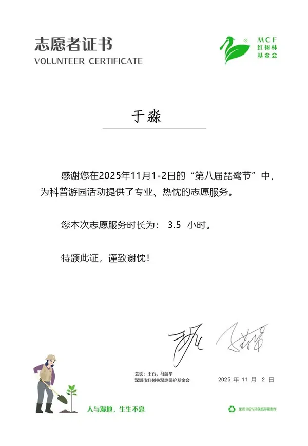8th Egret Festival volunteer service certificate from the Shenzhen Mangrove Wetland Conservation Foundation (MCF), Nov 2025.